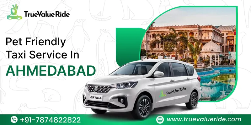 True Value Ride - Pet Friendly Taxi Service Amedabad1